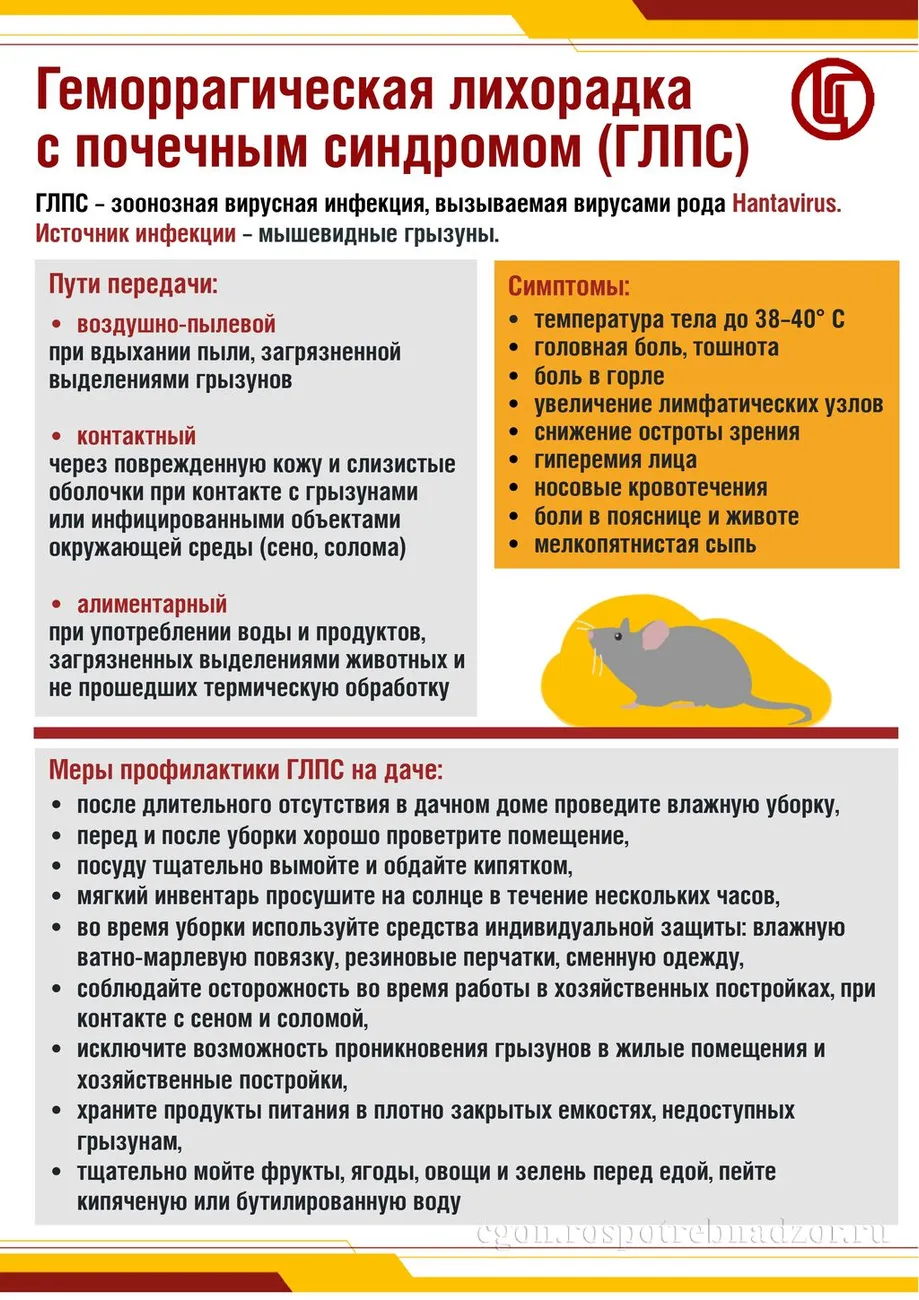 Геморрагическая лихорадка с почечным синдромом (ГЛПС) (1)_pages-to-jpg-0001