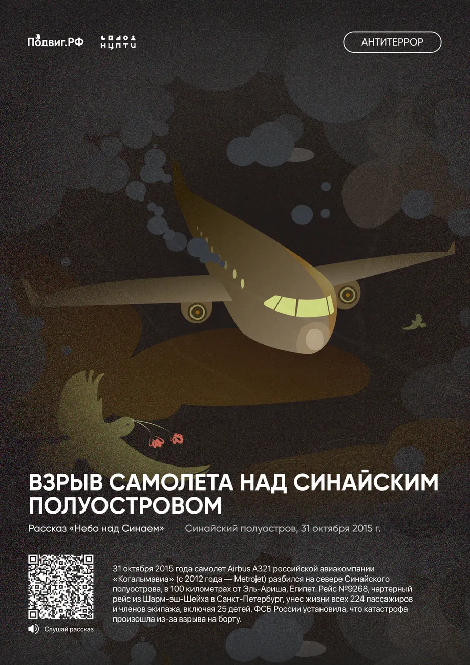 12. Взрыв самолета над Синайским полуостровом
